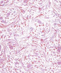 Marble Swirls Wallpaper • Flowing Stone • Pink • Insitu • Swatch
