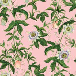 Passion Wallpaper • Wallpaper with Passion Fruit • Peach • Swatch