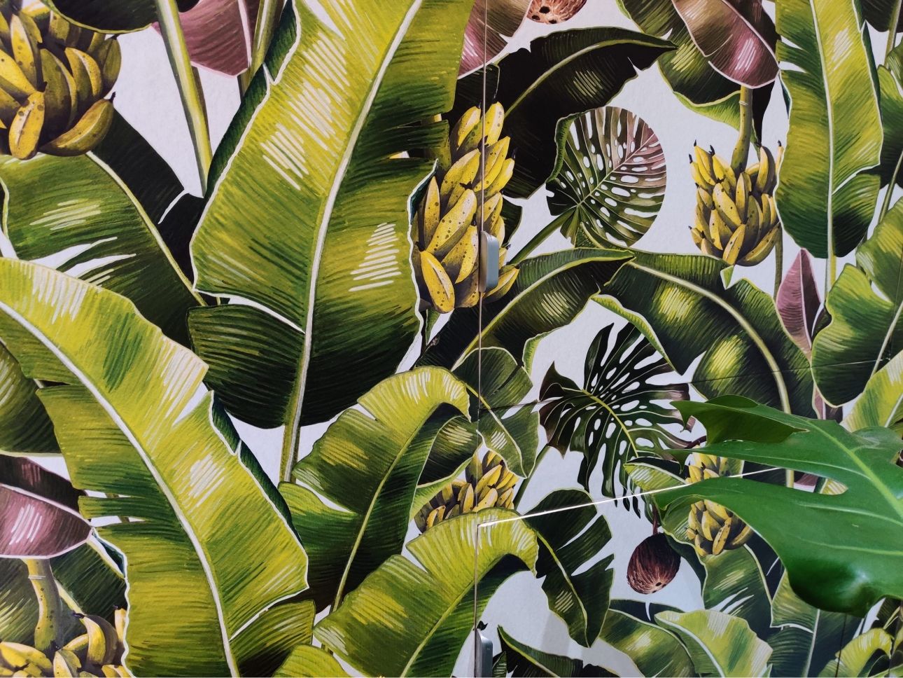 Kingdom Palm Wallpaper • Tropical Wallpaper • Wallpaper In the Bathroom • How To Waterproof Your Wallpaper • Michaela Livingstone-Banks • Andrew Dillon Decorating • Close Up Photo of Wallpaper