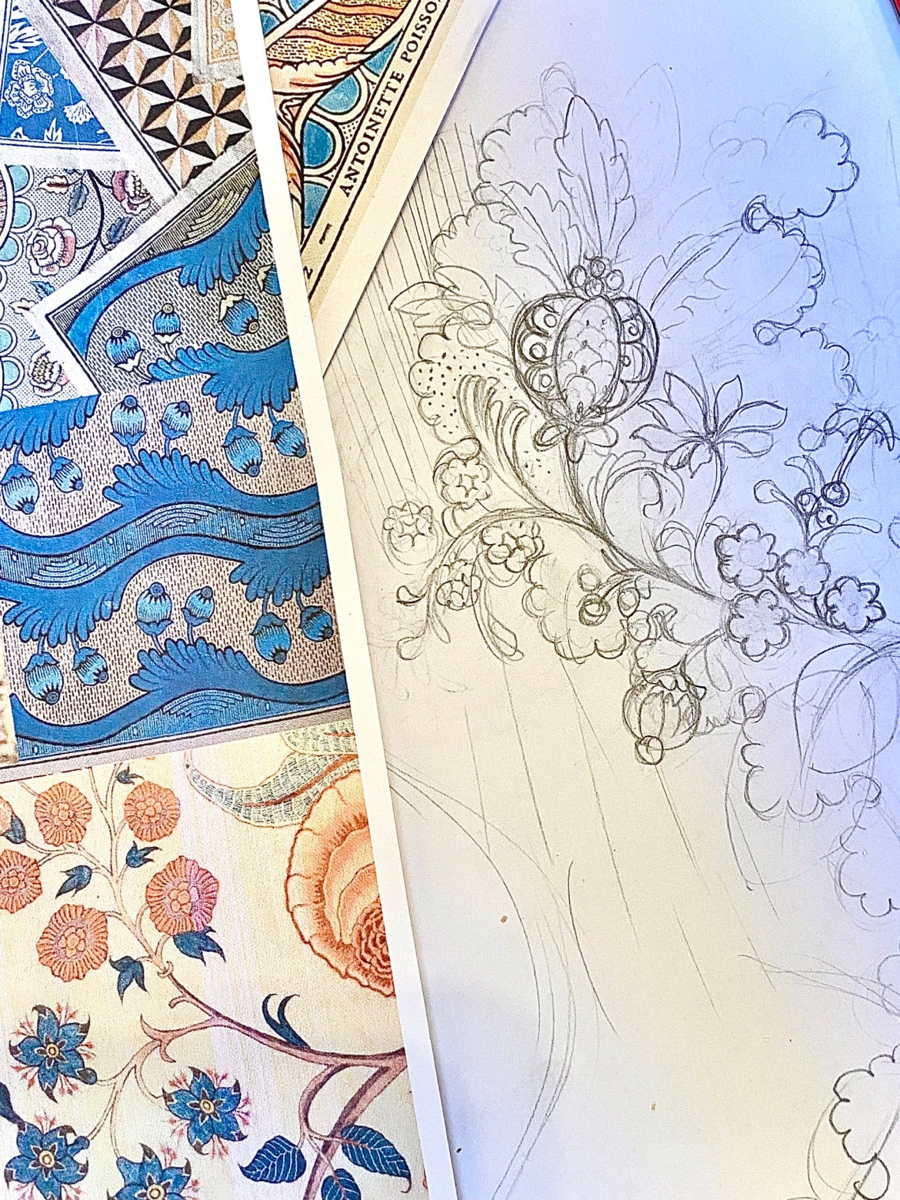 Pomegranate Wallpaper Sketch By Bethany Linz