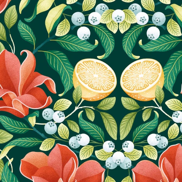 Lemon and Magnolia - Lookbook Gallery - Colorway: Scarlet & Forest Green