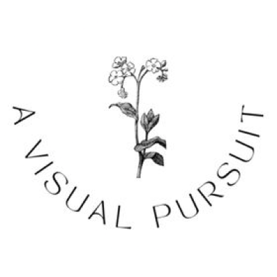 A Visual Pursuit
