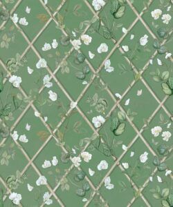 Petite Climbing Sweet Pea Wallpaper • Dark Green & Cane • Swatch