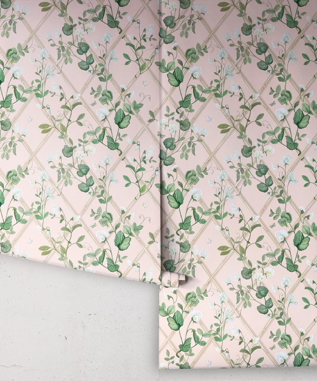 Petite Climbing Sweet Pea Wallpaper • Pink • Rolls