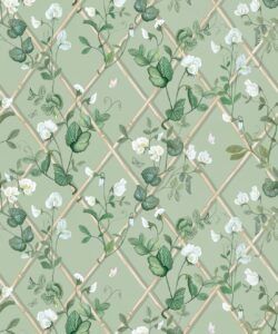 Petite Climbing Sweet Pea Wallpaper • Sage & Cane • Swatch