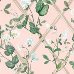 Grande Climbing Sweet Pea Wallpaper • Pink • Swatch
