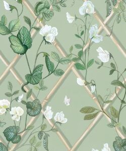 Grande Climbing Sweet Pea Wallpaper • Sage & Cane • Swatch