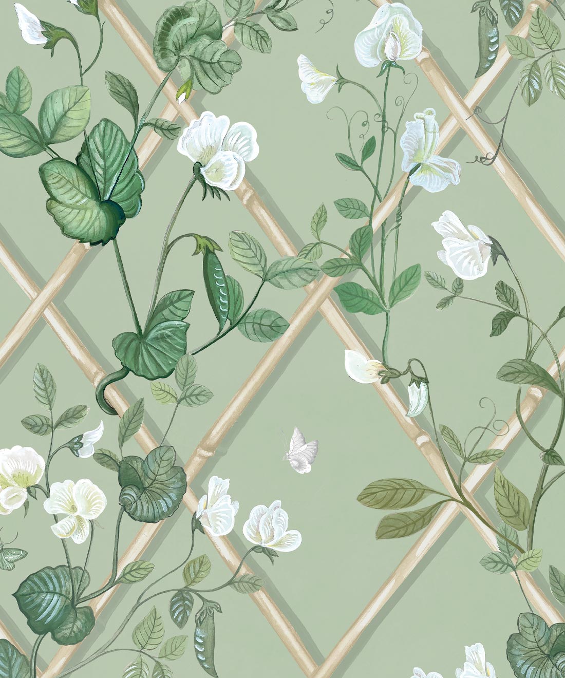 Grande Climbing Sweet Pea Wallpaper • Trellis Design