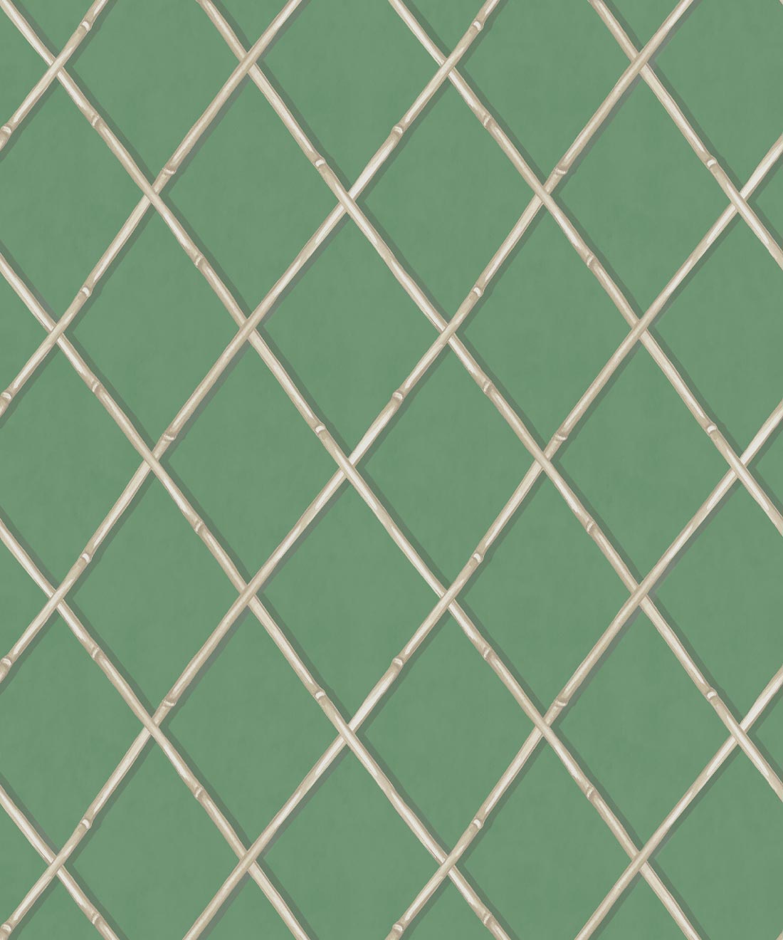 Colony Wallpaper • Dark Green & Cane • Swatch