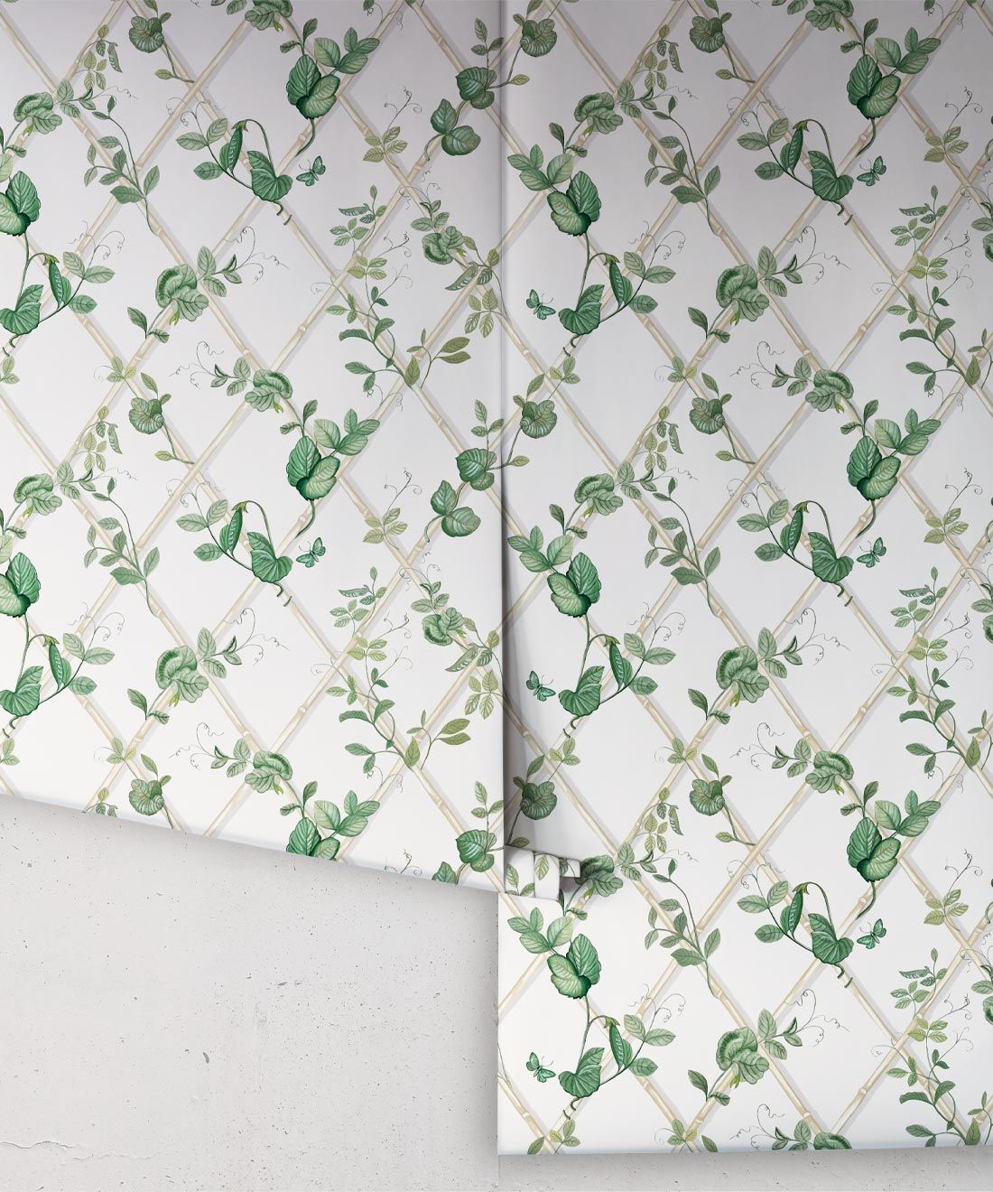 Petite Ivy Wallpaper • Irish Linen & Cane • Rolls