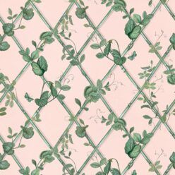Petite Ivy Wallpaper • Pink & Green • Swatch