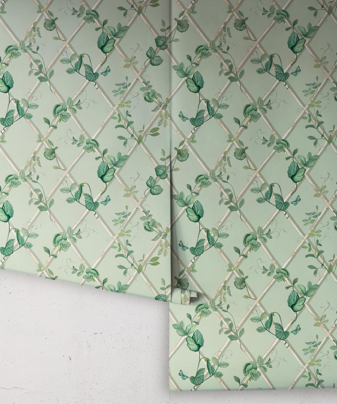 Petite Ivy Wallpaper • Sage & Cane • Rolls