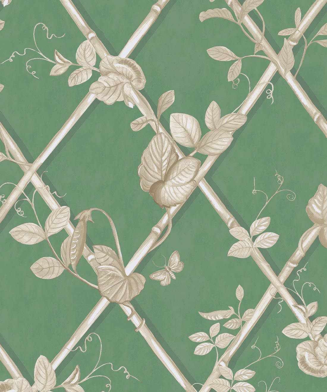 Grande Ivy Wallpaper • Dark Green & Cane • Swatch