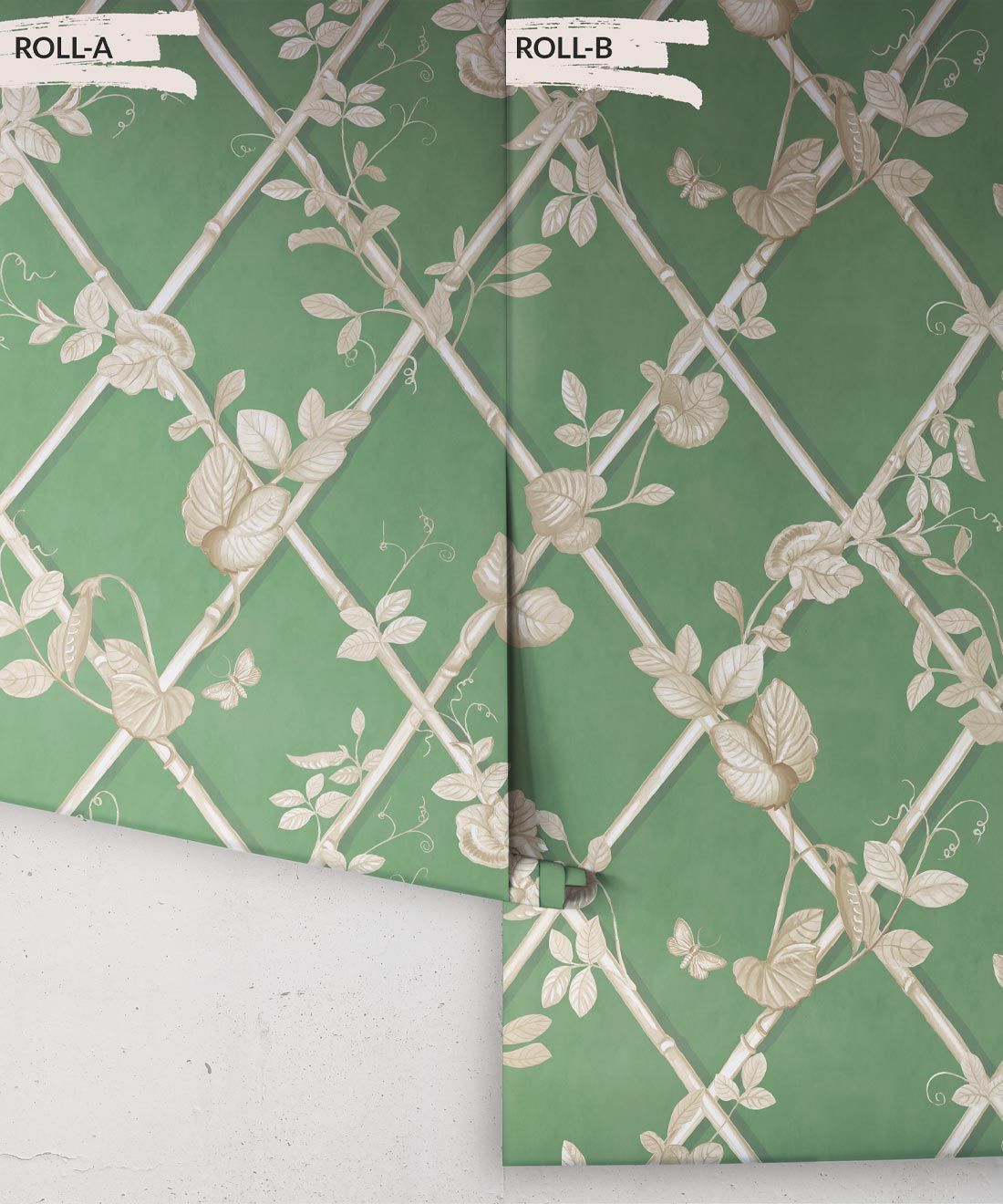 Grande Ivy Wallpaper • Dark Green & Cane • Rolls