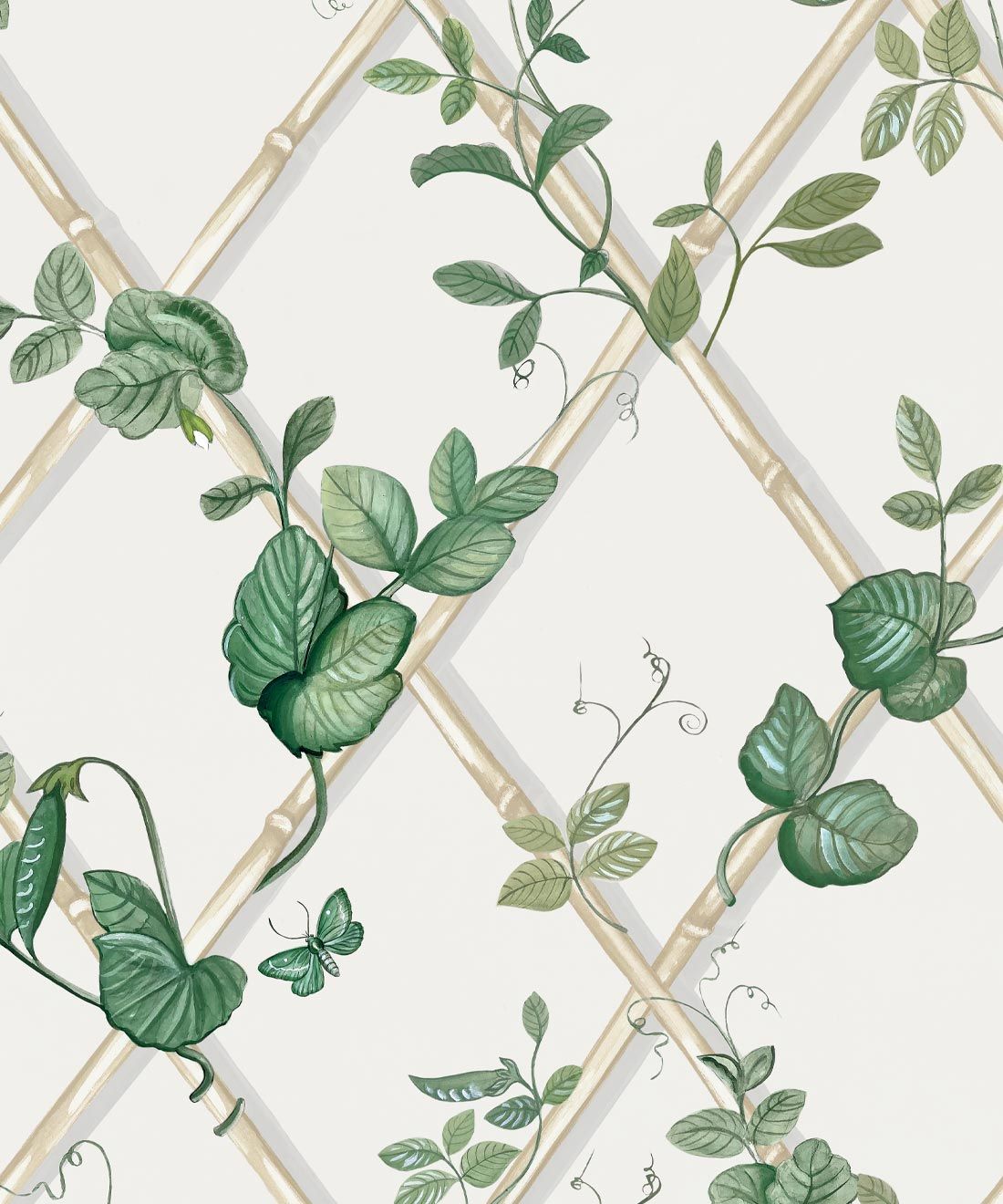 Grande Ivy Wallpaper • Irish Linen & Cane • Swatch
