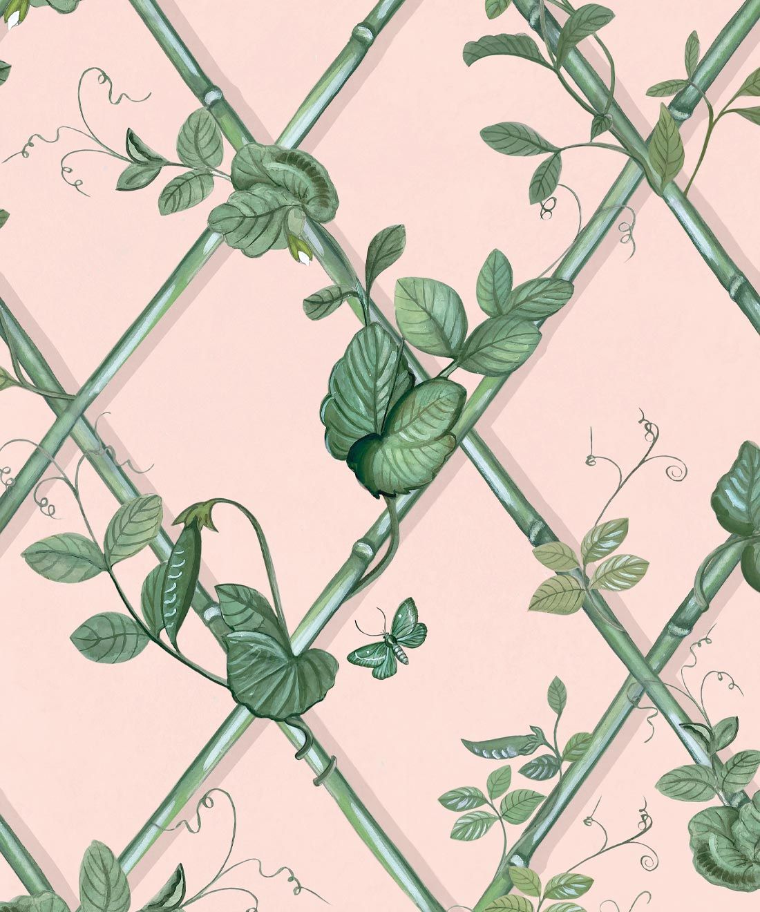 Grande Ivy Wallpaper • Pink & Green • Swatch