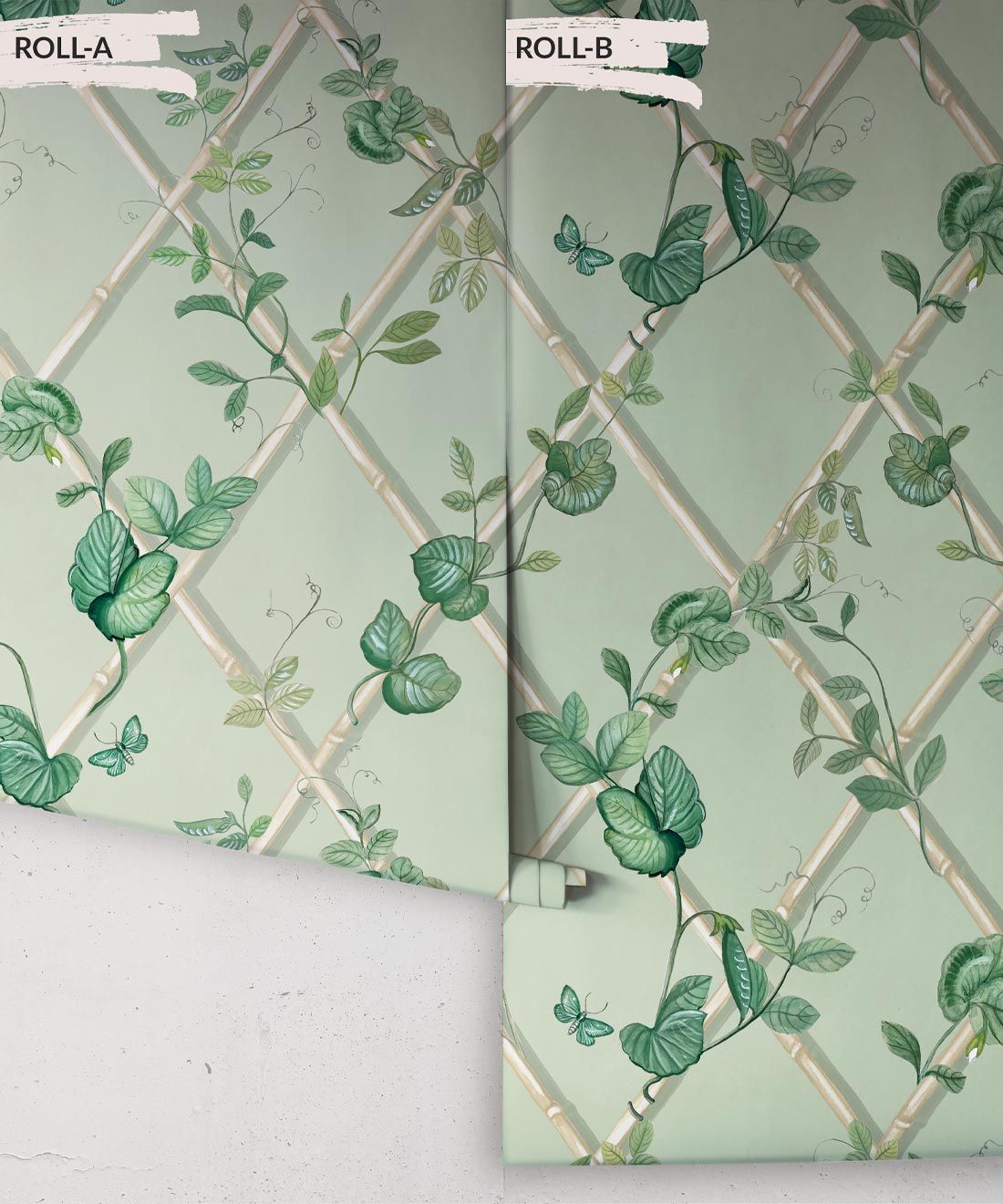 Grande Ivy Wallpaper • Sage & Cane • Rolls