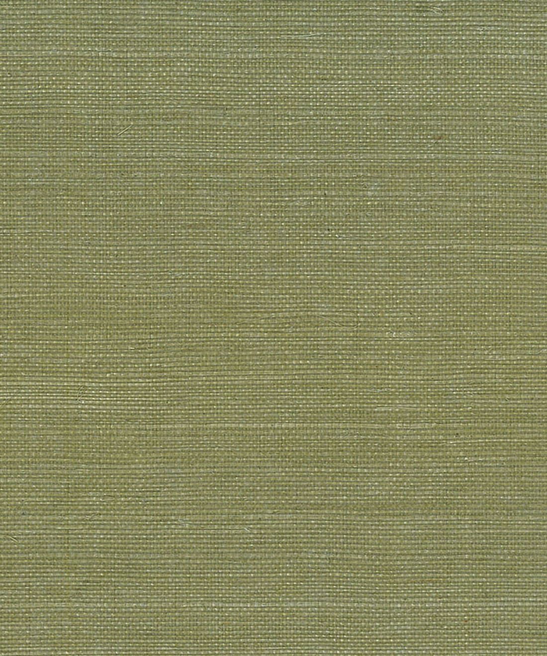 Winter Sisal Grasscloth Wallpaper - Olive
