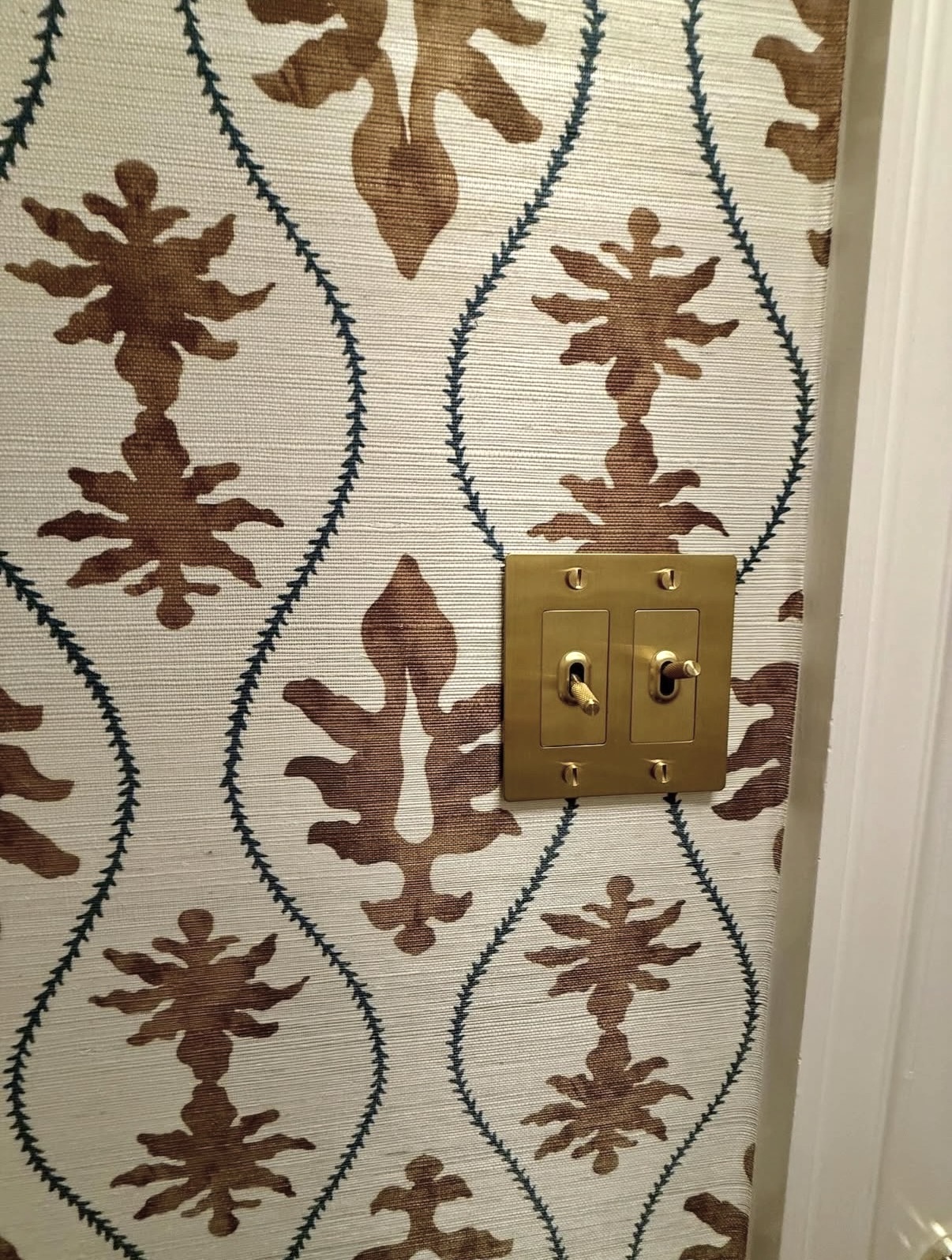 Great Jones Grasscloth Wallpaper with brass lightswitch