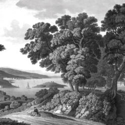 English Landscape Mural • Black & White • Swatch