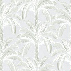 Silver Leaf