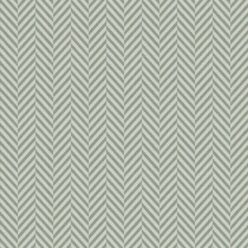 Fern