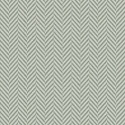Fern