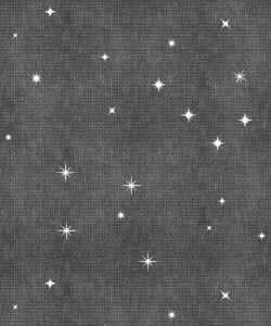 Southern Skies Wallpaper • Charcoal • Swatch