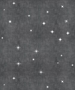 Southern Skies Wallpaper • Charcoal • Swatch