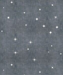 Southern Skies Wallpaper • Dark Blue • Swatch