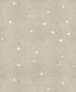 Southern Skies Wallpaper • Raya • Swatch