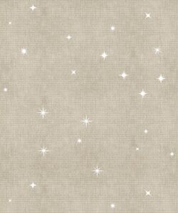 Southern Skies Wallpaper • Raya • Swatch