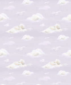 Heavenly Wallpaper • Dawn • Swatch