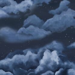 Night