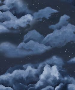 Heavenly Wallpaper • Night • Swatch