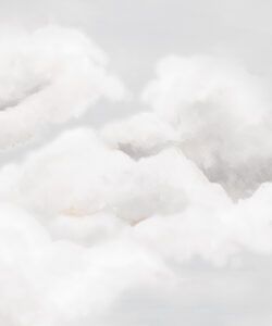 Serenity Mural • Mist • Swatch
