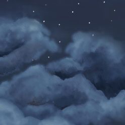 Night
