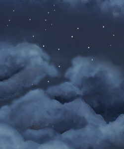 Serenity Mural • Night • Swatch