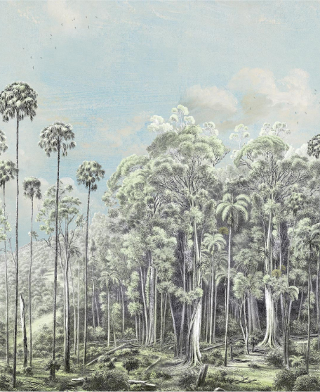 Australia II Colorway Kimberley Eucalyptus