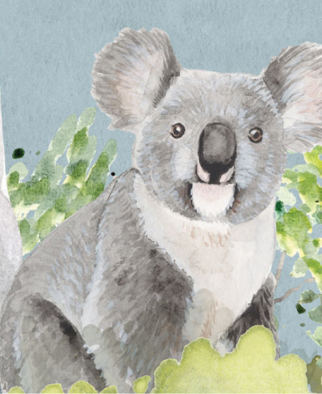 Australia II Colorway Native Bushlands in Sky