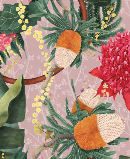 Australia II Colorway Waratah in Medley Coral
