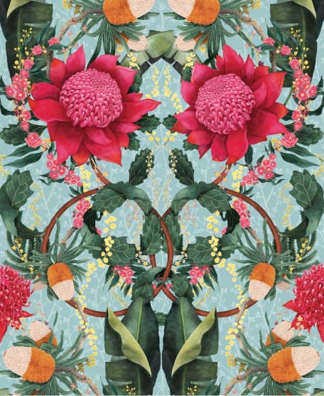 Australia II Colorway Waratah in Medley Sky