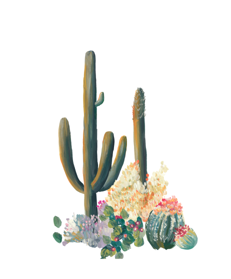 Cactus-Illustration-2