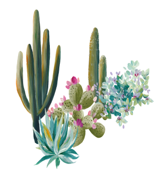 Cactus-Illustration-3