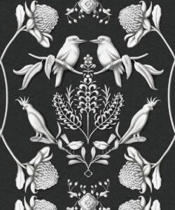 Australis • Kingdom Home • Night