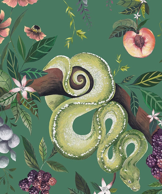 Snake Charmer Lookbook - Sneak Peek
