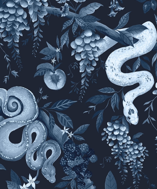 Snake Charmer Lookbook - Sneak Peek
