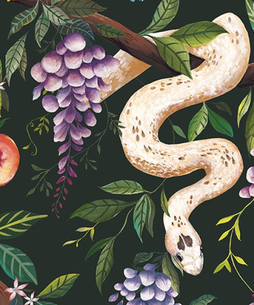 Snake Charmer Lookbook - Sneak Peek