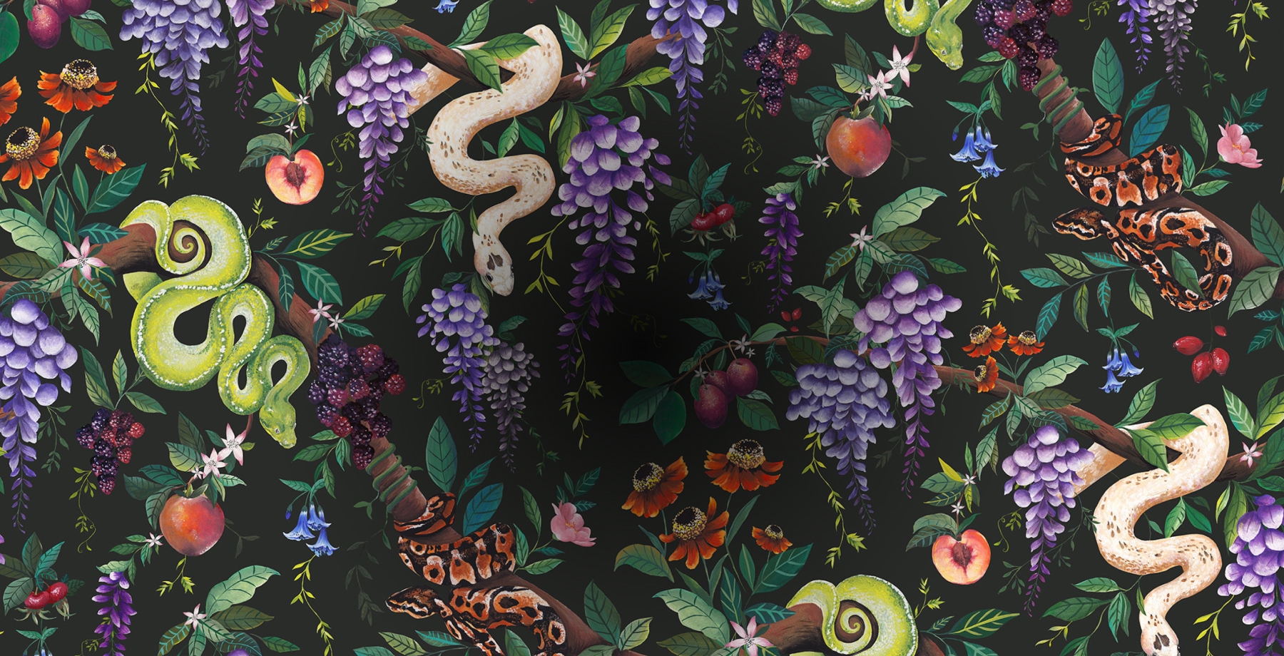 Snake Charmer Lookbook - Sneak Peek