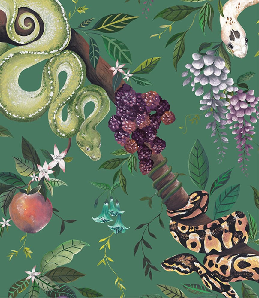 Snake Charmer Lookbook - Sneak Peek